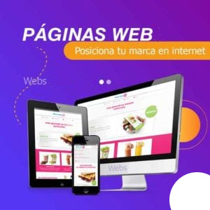 diseño web ica