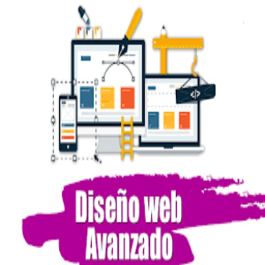 paginas web profesional ica